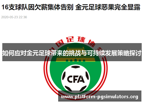 如何应对金元足球带来的挑战与可持续发展策略探讨 如何应对金元足球带来的挑战与可持续发展策略探讨