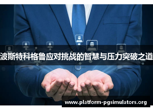 波斯特科格鲁应对挑战的智慧与压力突破之道