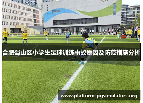 合肥蜀山区小学生足球训练事故原因及防范措施分析 合肥蜀山区小学生足球训练事故原因及防范措施分析