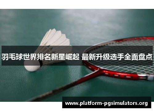 羽毛球世界排名新星崛起 最新升级选手全面盘点
