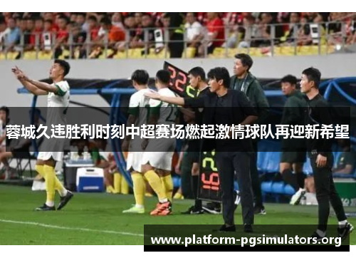 蓉城久违胜利时刻中超赛场燃起激情球队再迎新希望 蓉城久违胜利时刻中超赛场燃起激情球队再迎新希望